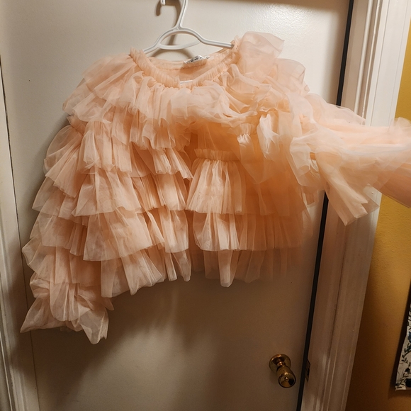 Elegant Pink Ruffled Blazer - Picture 4 of 5